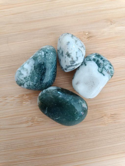 Pierre roulée Agate arbre 30-50 mm